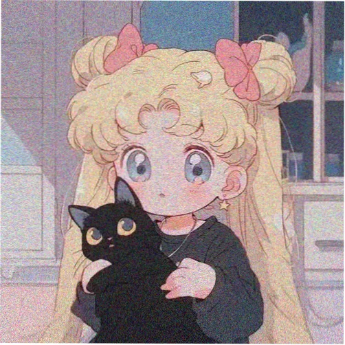 粉丝